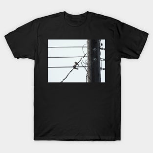 birds on a wire T-Shirt